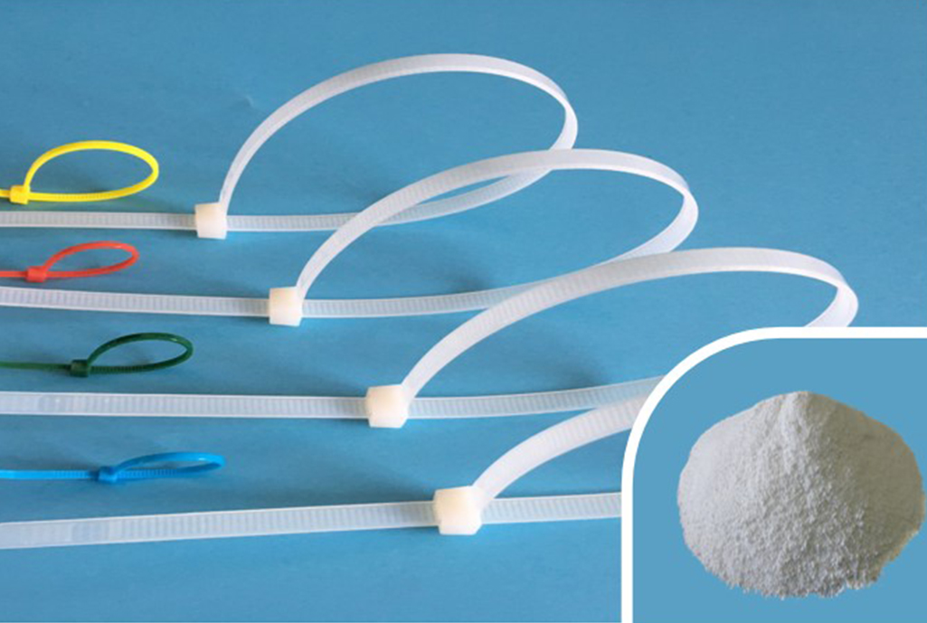 Agent de nucléation XS-CH-101 pour PA